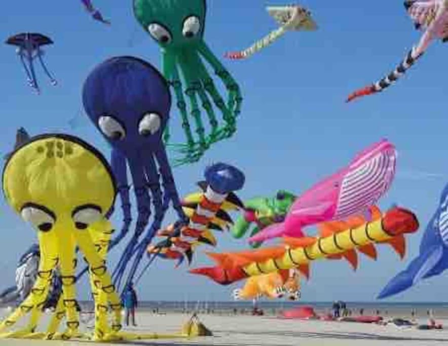 Escapade Berckoise, Berck Plage المظهر الخارجي الصورة